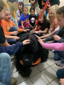 Supervised visit with therapy dogs